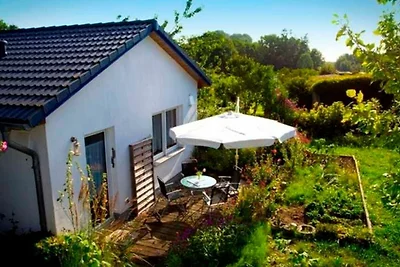 Vakantieappartement Gezinsvakantie Sassnitz