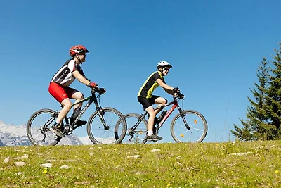 Vakantieappartement Gezinsvakantie Rußbach am Pass