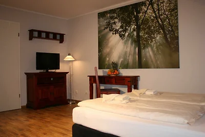Albergo Cultura ed escursioni Ückeritz