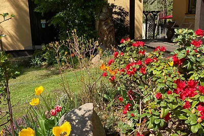 Vakantieappartement Gezinsvakantie Bad Düben