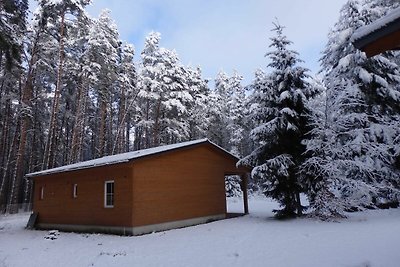 Albergo Cultura ed escursioni Lychen