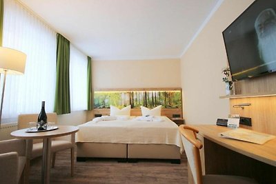Hotel cultural and sightseeing holiday Friedrichsbrunn
