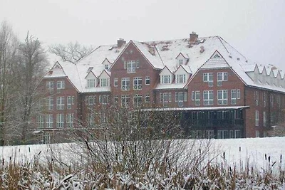 Albergo Cultura ed escursioni Neustrelitz