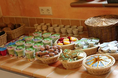 Vakantieappartement Gezinsvakantie Rust