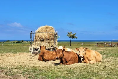 Appartamento Vacanza con famiglia Bastorf