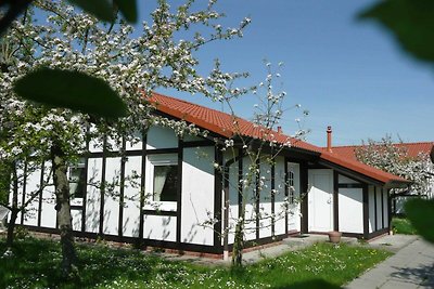 Hotel cultural and sightseeing holiday Hollern-Twielenfleth