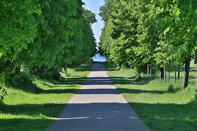 Vakantieappartement Gezinsvakantie Groß Schwansee