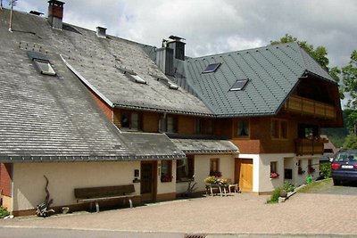 Vakantieappartement Gezinsvakantie Bernau im Schwarzwald