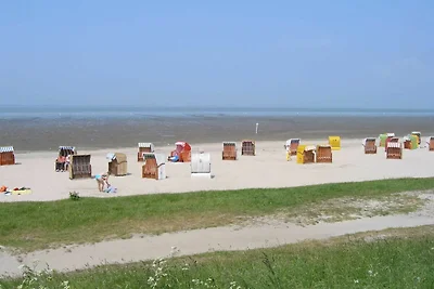 Ferienhaus Anker