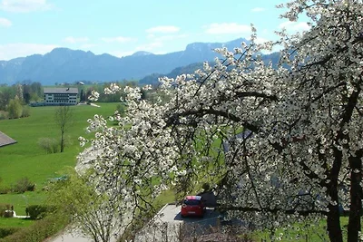 Appartamento Vacanza con famiglia Mondsee