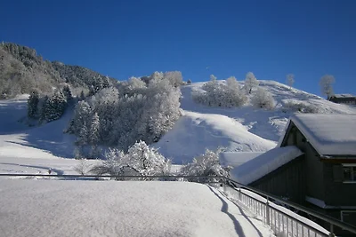 Vakantieappartement Gezinsvakantie Au in Vorarlberg