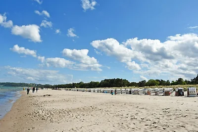 grosses Baaber Ferienhaus mit Sauna (P)