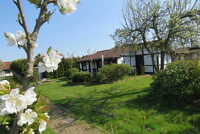 Albergo Cultura ed escursioni Hollern-Twielenfleth