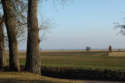 Hotel Cultuur en bezienswaardigheden Stolpe auf Usedom