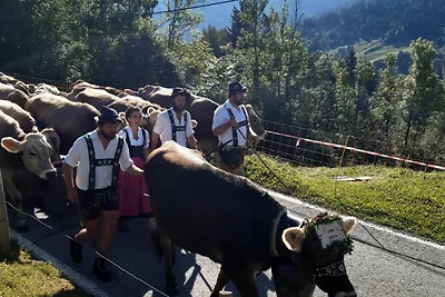 Appartamento Vacanza con famiglia Sibratsgfäll