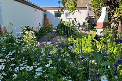 Bungalow (max. 2 Personen, 25 m²)