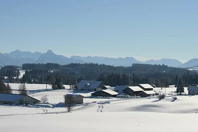 Wiesenblick