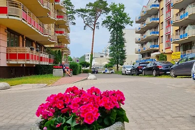 Zdrojowa Studio ZD30