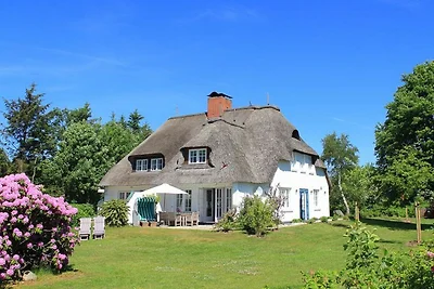 Vakantiehuis Ontspannende vakantie Nieblum
