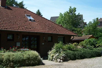 Vakantieappartement Gezinsvakantie Borgstedt