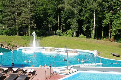 Hotel Cultuur en bezienswaardigheden Bad Harzburg