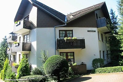 Vakantieappartement Gezinsvakantie Bad Sachsa