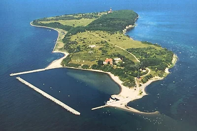 Vakantiehuis Ontspannende vakantie Trassenheide