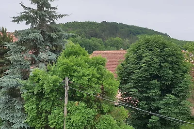 Vakantieappartement Gezinsvakantie Blankenhain