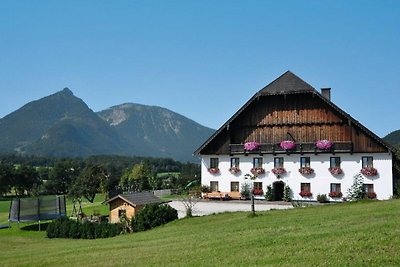 Vakantieappartement Gezinsvakantie St. Wolfgang