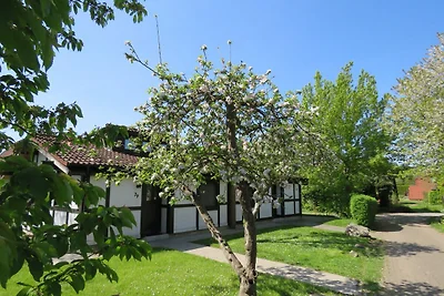 Ferienhaus 81 Scout 42qm für max.