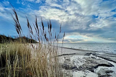 Sonnenliebe Ferienhaus