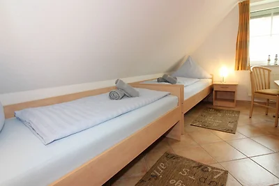 Albergo Cultura ed escursioni Butjadingen