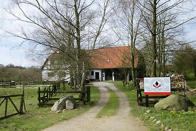 Vakantieappartement Gezinsvakantie Langhagen