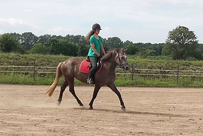 Appartement 5b Reitanlage