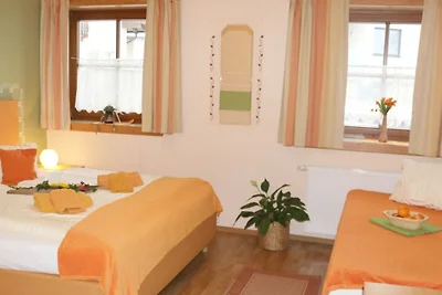 Appartement Vacances avec la famille Mondsee