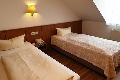 Albergo Cultura ed escursioni Erfurt