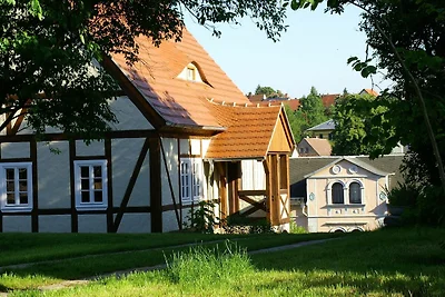 gemütliches Apartment mit Terrasse im Katzenh...