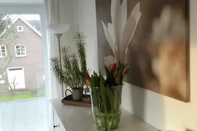 Ferienwohnung Sterntaucher