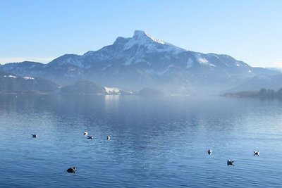 Appartamento Vacanza con famiglia Mondsee