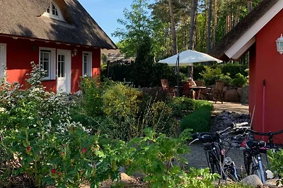 Strandhaus Usedom