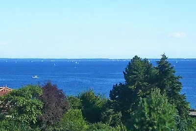 VO 5; 3-Raum; 1.OG; Balkon; 58m²