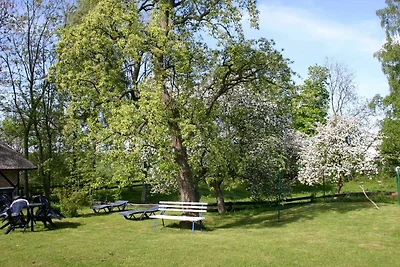 Vakantiehuis Ontspannende vakantie Middelhagen