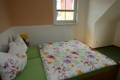 Albergo Cultura ed escursioni Koserow