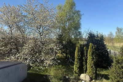 Kuća za odmor Dopust za oporavak Waren (Müritz)