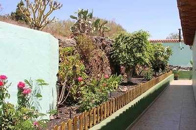 Casa Bejenado C