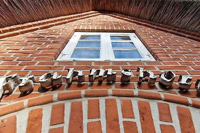 Ferienhaus Frahmshörn