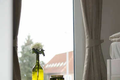 Silbermöwe