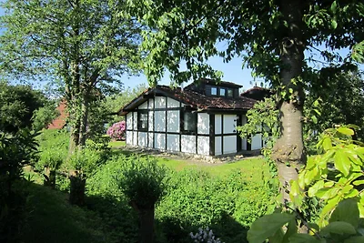 Ferienhaus 79 Scout 42qm für max.