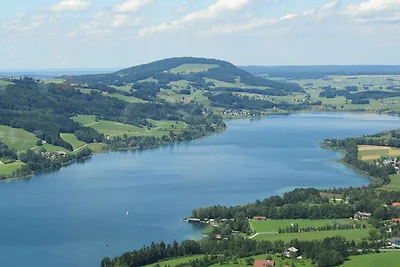 Vakantieappartement Gezinsvakantie Zell am Moos