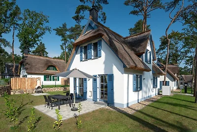 Vakantiehuis Ontspannende vakantie Zirchow
